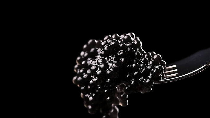 음식 포크 재료 건강 어류 사람없음 빛 금속 검은색 식사 어둠 신선 고급 맛 먹기 해산물 날것 식품점 절임 짠맛 캐비아 프리미엄 맛있는 MOV 해외동영상 클립영상 식기 컬러 컨셉 식재료 모션 재질 상점 수중동물 동영상 파일형식