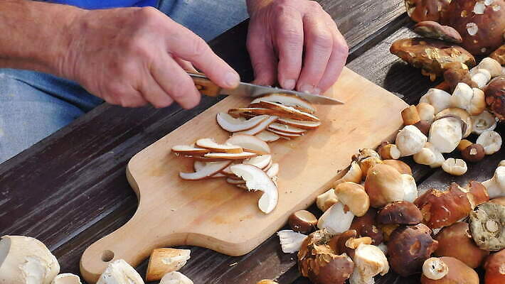 라이프스타일 식기 계절 조각 백그라운드 채소 재료 부분 손가락 탁자 건강 요리 사람 성인 갈색 주방 요리사 식사 저녁식사 버섯 흰색 신선 만 칼 맛 자르기 준비 날것 나누기 곰팡이 그물버섯 식용 4K MOV 해외동영상 클립영상 직업 손 컬러 가구 컨셉 모션 생활 동영상 파일형식