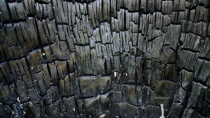 나무 라이프스타일 커플 선 이동 유적 유리 호텔 불 건조 함께함 파노라마 그림자 사람없음 야외 세로 햇빛 얼음 사막 죽음 시간 뜨거움 황무지 각도 가뭄 깨짐 땅바닥 투쟁 패닝샷 흉터 HD 타임랩스 MOV 해외동영상 클립영상 자연요소 식물 전통 컨셉 관계 재질 숙소 날씨 바닥 촬영기법 생활 태양 상처 동영상 파일형식