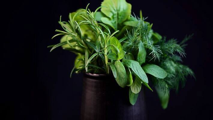 식물 음식 백그라운드 잎 채소 재료 자연 고추 탁자 건강 마늘 요리 사람없음 초록색 빛 정원 검은색 어둠 나뭇가지 신선 양념 조미료 맛 민트 허브 향신료 묘사 유기농 올리브 매움 날것 향기 아로마 향 후추 바질 로즈메리 내추럴 고립 맛있는 스피아민트 4K MOV 해외동영상 클립영상 나무 웰빙 열매 컬러 가구 컨셉 생태계 냄새 동영상 향미료 파일형식