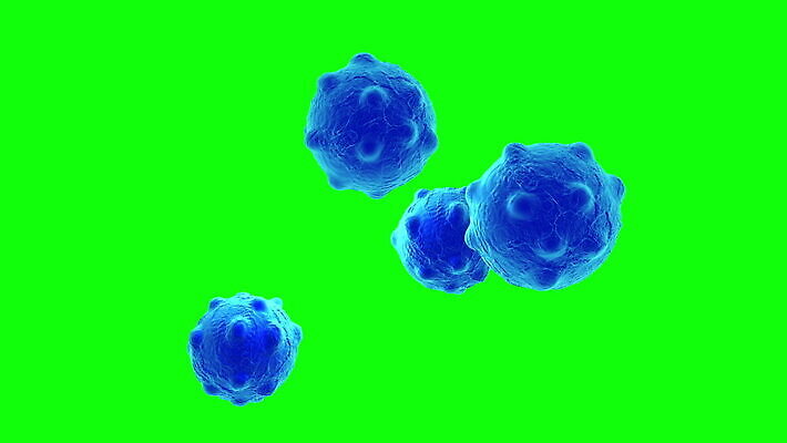 모양 과학 해부 세포 건강 사람없음 신체부위 가로 3D 건강관리 혈액 질병 피부 뇌 생물학 암 종양 MOV 해외동영상 클립영상 교육 의학 관리 사람 디지털합성 동영상 파일형식