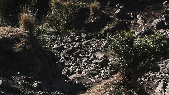 지구 호수 백그라운드 자연 바닥 건조 풍경 사람없음 물 강 환경 계곡 사막 바위 뜨거움 거친 개울 땅 지역 가뭄 내추럴 재앙 비어있는 MOV 해외동영상 클립영상 자연요소 날씨 돌_바위 생태계 동영상 파일형식