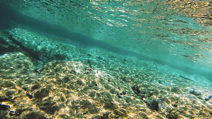 동물 야생동물 바다 컬러 여행 백그라운드 자연 멕시코 어류 사람없음 빨간색 물 여름 파란색 빛 햇빛 태양 뷰티 수중 수영 광선 동굴 산호 아래 사진사 생태계 다이빙 장면 암초 깊이 칸쿤 4K 수중영상 MOV 해외동영상 클립영상 자연요소 계절 북아메리카 수중동물 수상스포츠 자포동물 방향 작가 위치 동영상 수중스포츠 파일형식