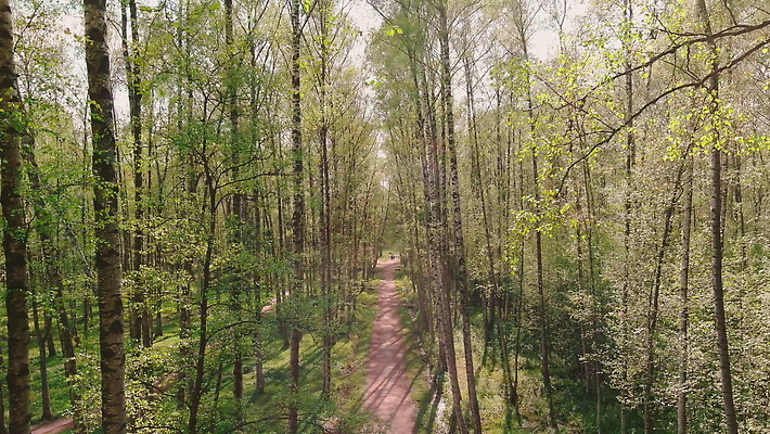 나무 구름 공원 컬러 백그라운드 잎 자연 안테나 풍경 사람없음 야외 목재 초록색 컬러풀 햇빛 갈색 마을 봄 광선 가을 시골 소나무 언덕 마법 자작나무 폴란드 내추럴 드론 랜드마크 삼림지대 전국 조감도 4K MOV 해외동영상 슬로모션 클립영상 자연요소 식물 계절 공공시설 유럽 재료 통신 촬영기법 태양 숲 생태계 동영상 파일형식