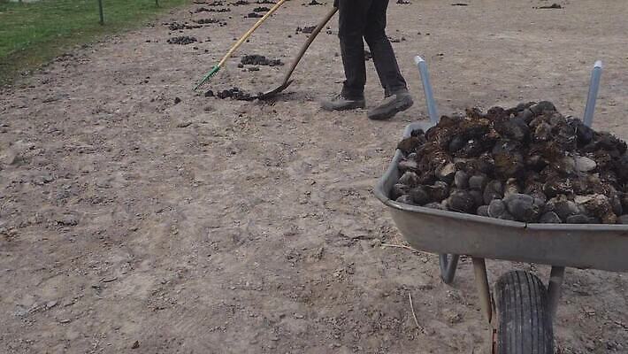 도로 밭 자연 안전 취미 사람없음 초록색 농장 쌓기 오염 카우보이 볏짚 농부 수집 종업원 유기농 냄새 타이어 진흙 밀짚 거름 방목장 MP4 해외동영상 슬로모션 클립영상 직업 웰빙 길 컬러 농업 교통시설 모션 촬영기법 짚 생태계 동영상 파일형식
