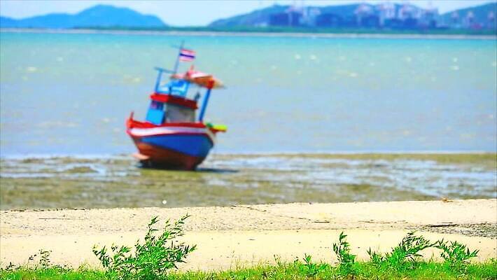모래 바다 컬러 백그라운드 자연 조류 하늘 낚시 휴가 바닥 주택 안테나 사람없음 야외 물 파란색 모래사장 햇빛 여행객 환경 절벽 기쁨 게 그리기 어선 보트 플랫 썰물 포트 얇은 인기 청어 해일 MOV 해외동영상 클립영상 자연요소 동물 감정 배_교통 통신 모션 레저 갑각류 어류 사람 건물 태양 자연재해 생태계 동영상 파일형식