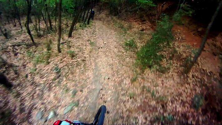 도로 스포츠 포즈 이동 자국 모션 자연 산 경사 사람없음 야외 운동 자전거 경쟁 승차 소프트포커스 숲 속도 흥분 사이클링 바이크레이서 바이킹 블러 산악자전거 1인칭시점 MOV 해외동영상 클립영상 시선 감정 길 컨셉 교통시설 촬영기법 건강 바이크 육상스포츠 생태계 동영상 파일형식
