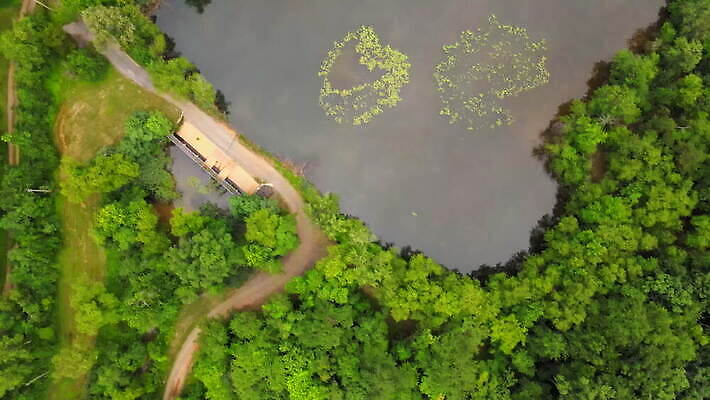 나무 식물 계절 밭 농업 자연 하늘 풍경 초원 사람없음 야외 초록색 여름 농작물 농장 농경지 환경 계곡 수확 시골 연못 숲 땅 언덕 유기농 내추럴 드론 밭일 4K MOV 해외동영상 클립영상 웰빙 산업 컬러 생태계 동영상 파일형식