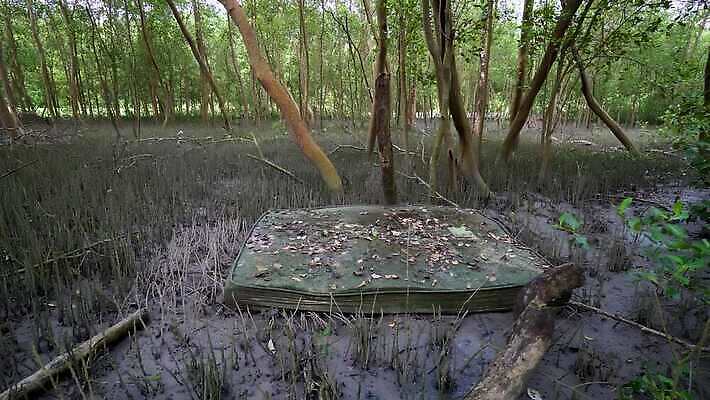산업 백그라운드 자연 사람없음 세계 쌓기 환경 손상 행성 침대 오염 보호 쓰레기 폐기물 숲 버리기 생태계 한조각 낭비 고물상 불법 생태학 처리 4K MOV 해외동영상 클립영상 1 교육 가구 컨셉 모션 우주 범죄 동영상 파일형식