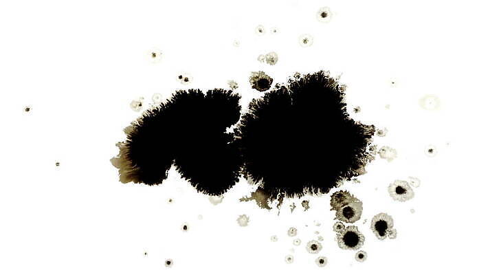 모양 종이 백그라운드 패턴 추상 수채화 잉크 미술 사람없음 그래픽 물 검은색 페인트 펼침 젖음 흐름 흰색 붓 얼룩 원형 혈액 범죄 떨어짐 정상 그림 유기농 질감 합성 증거 분무기 쏟아짐 내추럴 고립 그런지 호러 효과 4K 화면전환 MOV 해외동영상 클립영상 자연요소 도형 웰빙 컬러 컨셉 무늬 모션 문화예술 공포 동영상 파일형식