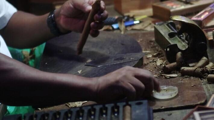 식물 백인 직업 남자 산업 잎 농업 노동자 건조 담배 관리 사람 성인 초록색 농작물 농장 수확 시골 업무 작업 선택 연기 제조 농부 상품 수집 준비 롤 쿠바 선배 중독 외양간 니코틴 제어 핸드메이드 4K MP4 해외동영상 클립영상 서양인 컬러 컨셉 중앙아메리카 동영상 파일형식