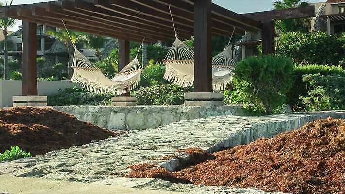 모래 파도 바다 섬 여행 우산 자연 휴가 불꽃 휴식 멕시코 손바닥 풍경 해변 사람없음 여름 관광지 야자수 태양 평화 일몰 뜨거움 충돌 묘사 휴양지 암초 마야 이국적 칸쿤 파라다이스 화창 4K MP4 해외동영상 클립영상 자연요소 나무 손 계절 컨셉 북아메리카 불 날씨 노을 장소 생태계 마야문명 동영상 파일형식