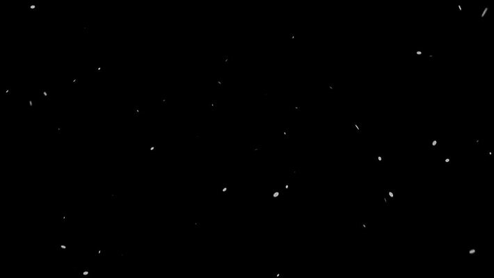 디자인 기념일 행복 종이 백그라운드 크리스마스 겨울 추상 휴가 흑백 선물 이벤트 사람없음 그래픽 장식 빛 파티 디지털 검은색 축제 가을 축하 인사 생일 연도 꽃가루 애니메이션 멀티 발생 더스트파티클 MOV 해외동영상 클립영상 계절 감정 컬러 컨셉 무늬 촬영기법 예절 가루 동영상 파일형식