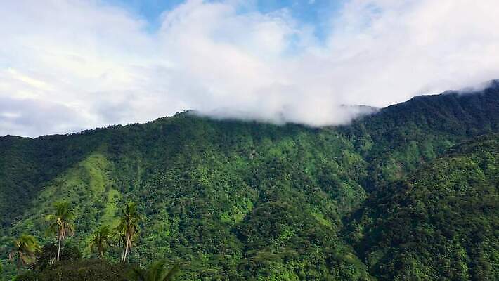 나무 식물 구름 계절 아시아 여행 백그라운드 잎 자연 열대 산 안테나 풍경 사람없음 초록색 여름 정상 숲 열대우림 땅 언덕 상록수 산악지대 항공촬영 삼림지대 절정 조감도 4K MOV 해외동영상 클립영상 자연요소 나라 뷰포인트 컬러 통신 생태계 동영상 파일형식