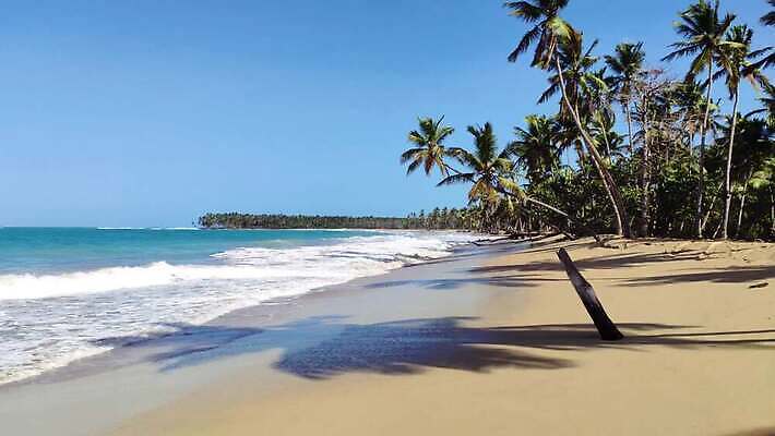 나무 모래 바다 섬 여행 자연 하늘 손바닥 사람없음 물 파란색 강 모래사장 야자수 태양 일몰 탐험 신선 대서양 내추럴 공화국 도미니카공화국 민물 이국적 코스타리카 파라다이스 4K MP4 해외동영상 클립영상 자연요소 식물 손 나라 컬러 노을 남아메리카 중앙아메리카 생태계 동영상 파일형식
