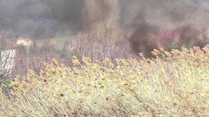 오렌지 자연 하늘 불 바람 불꽃 건조 초원 사람없음 빨간색 여름 파란색 세트 농장 환경 시골 긴급 시간 뜨거움 연기 위험 사건 위협 화재 가뭄 타운 보험 내추럴 생태학 스텝 엘리먼트 재앙 적자 트러블 화상 타임랩스 MP4 해외동영상 클립영상 자연요소 계절 교육 컬러 컨셉 농업 과일 날씨 촬영기법 도시 상처 생태계 동영상 파일형식