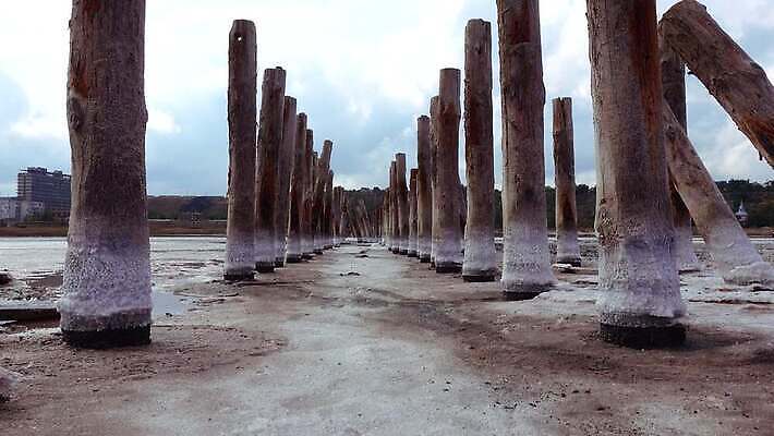 호수 바다 백그라운드 자연 사람없음 야외 물 흰색 약초 크리스탈 휴양지 진흙 결정체 지구온난화 내추럴 우크라이나 짠맛 오데사 4K MP4 해외동영상 클립영상 자연요소 유럽 컬러 장소 풀_식물 맛 광석 생태계 동영상 기후변화 파일형식