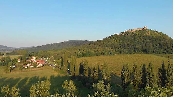 나무 유럽 여행 밭 농업 자연 산 주택 파노라마 풍경 초원 사람없음 초록색 하이앵글 낭만 시골 성 방어 중세 역사 맨션 언덕 폐허 화산 장면 헝가리 항공촬영 드론 랜드마크 삼림지대 안뜰 옛날 조감도 4K MP4 해외동영상 클립영상 식물 건축물 나라 산업 뷰포인트 컬러 컨셉 촬영기법 어류 건물 숲 생태계 동영상 동유럽 파일형식