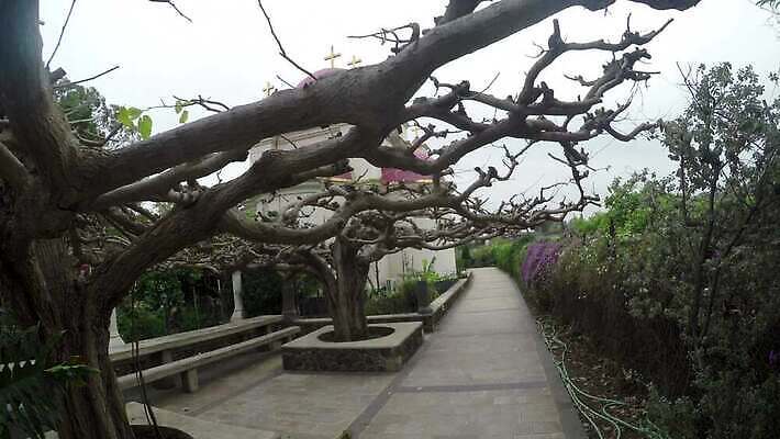 전통 기독교 종교 문화 호수 바다 분홍색 여행 십자가 건축양식 사람없음 건물 교회 성경 기도 사찰 영혼 역사 신성 수도원 그리스인 12 랜드마크 신앙심 옛날 이스라엘 팔레스타인 4K MP4 해외동영상 클립영상 서양인 건축물 건축 컬러 중동 종교용품 종교건축 숫자 동영상 서아시아 파일형식