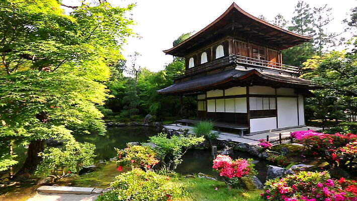 나무 공원 아시아 종교 문화 호수 모래 여행 잎 불교 건축양식 자연 주택 동양인 사람없음 건물 목재 물 여름 세계 뷰티 여행객 탑 정원 일본 고요 연못 소나무 역사 재산 은색 교토 랜드마크 숭배 MOV 해외동영상 클립영상 자연요소 식물 건축물 계절 공공시설 건축 나라 컬러 재료 사람 인종 금융 생태계 동영상 파일형식