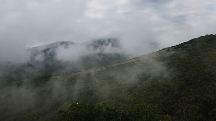 나무 식물 구름 계절 공원 여행 백그라운드 잎 자연 아침 날씨 산 그림자 풍경 사람없음 야외 목재 초록색 파란색 빛 일출 환경 어둠 침묵 새벽 안개 가을 흰색 나뭇가지 시골 소나무 황무지 연기 야간 숲 신비 언덕 공상 내추럴 뿌연 삼림지대 4K MOV 해외동영상 클립영상 주간 자연요소 공공시설 컬러 컨셉 재료 노을 소리 생태계 동영상 파일형식