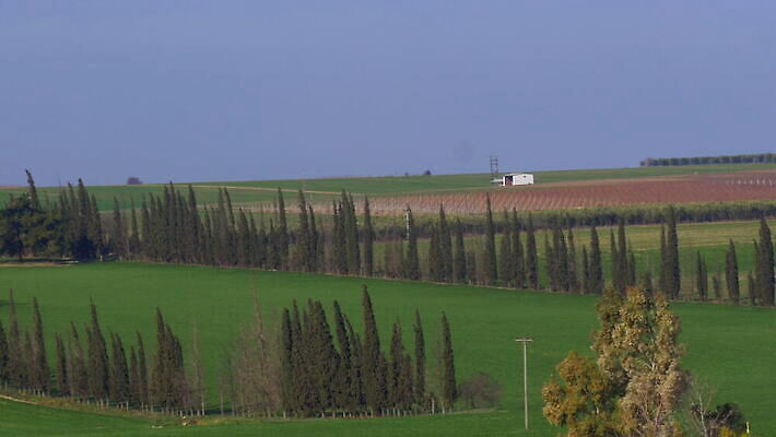 나무 유럽 여행 밭 농업 건축양식 자연 하늘 휴가 주택 파노라마 풍경 초원 사람없음 야외 건물 초록색 여름 파란색 농가 농경지 여행객 평화 마을 계곡 맑음 낭만 시골 땅 그리스 언덕 장면 내추럴 밭일 생태학 수평선 4K MOV 해외동영상 클립영상 식물 건축물 계절 교육 건축 나라 산업 컬러 컨셉 날씨 촬영기법 사람 농장 생태계 동영상 파일형식