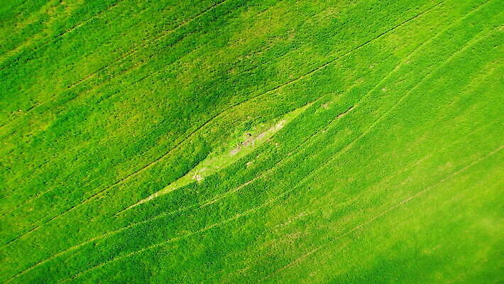 식물 계절 유럽 백그라운드 밭 농업 자연 안테나 파노라마 풍경 초원 사람없음 야외 초록색 여름 빛 햇빛 농장 농경지 마을 환경 침묵 봄 전원 시골 정상 땅 언덕 질감 내추럴 항공촬영 드론 밭일 조감도 세련 MOV 해외동영상 클립영상 나라 산업 뷰포인트 컬러 통신 촬영기법 태양 소리 전기에너지 생태계 동영상 파일형식