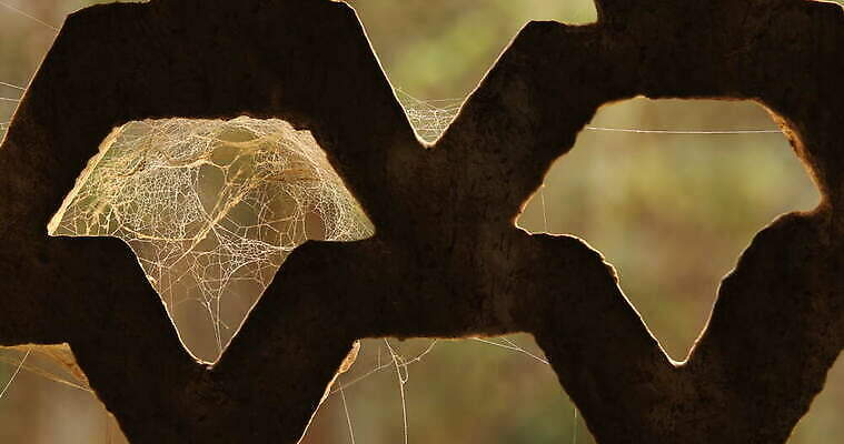모양 나무 동물 디자인 벽 곤충 백그라운드 패턴 창문 자연 추상 주택 실내 사람없음 장식 환경 디지털 웹 젖음 수확 안개 실 닫기 유령 거미줄 질감 거미 낭비 모기 블러 호러 흉터 4K MOV 해외동영상 클립영상 식물 컨셉 무늬 농업 인터넷 모션 날씨 내부 건물 해충 상처 생태계 공포 동영상 파일형식