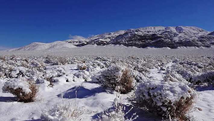 구름 공원 모래 여행 겨울 자국 자연 하늘 휴가 산 건조 파노라마 풍경 사람없음 야외 파란색 계곡 맑음 미국 트래킹 하이킹 사막 흰색 황무지 숲 언덕 캘리포니아 통과 내추럴 요세미티국립공원 전국 절정 4K MP4 해외동영상 클립영상 자연요소 계절 공공시설 컬러 북아메리카 레저 날씨 촬영기법 국립공원 생태계 동영상 파일형식