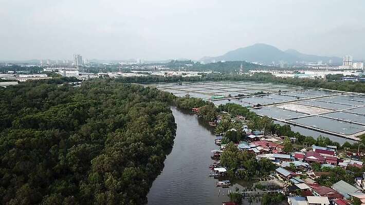 직업 산업 아시아 바다 여행 자연 낚시 주택 사람없음 물 파란색 뷰티 마을 일출 업무 그물 보트 제조 농부 상품 낚시꾼 어장 올가미 말레이시아 4K MOV 해외동영상 클립영상 자연요소 나라 컬러 배_교통 레저 건물 노을 작업 생태계 동영상 파일형식