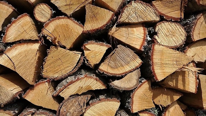 나무 산업 백그라운드 겨울 자연 불 건조 사람없음 목재 갈색 쌓기 에너지 숲 장작 자르기 묘사 날것 통나무 연료 잡동사니 흙더미 다리찢기 내추럴 수목 개조 4K HD MP4 해외동영상 클립영상 자연요소 식물 계절 컬러 재료 모션 흙 생태계 동영상 파일형식 더미