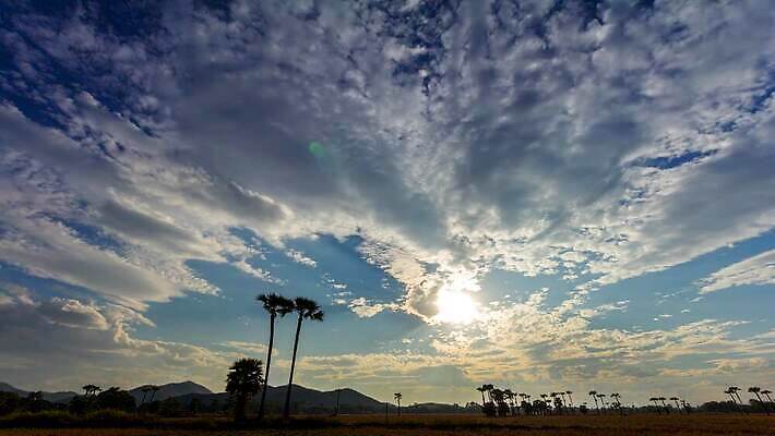 나무 식물 실루엣 백그라운드 이동 밭 오렌지 자연 하늘 표면 아침 바람 산 손바닥 잔디 사람없음 파란색 빛 컬러풀 태양 일출 황혼 일몰 새벽 시골 소 군중 저녁 질감 내추럴 막 4K 타임랩스 MP4 해외동영상 클립영상 주간 자연요소 손 컬러 컨셉 농업 과일 포유류 날씨 촬영기법 사람 노을 야간 생태계 동영상 파일형식