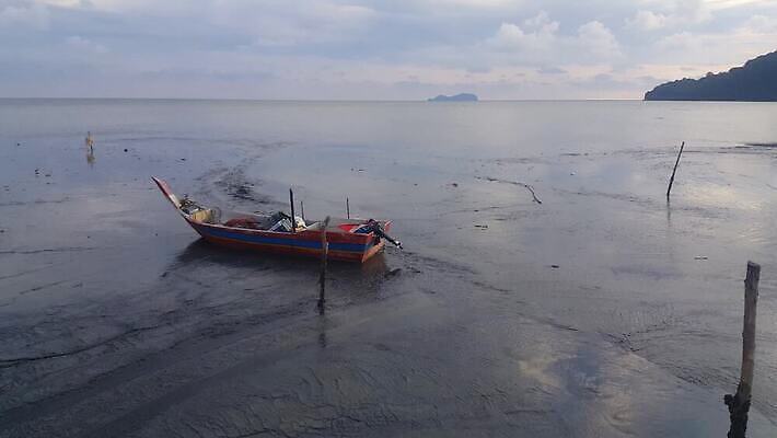 모래 여행 백그라운드 자연 조류 낚시 파노라마 사람없음 야외 빛 강 태양 환경 맑음 일몰 보트 어부 썰물 그림 장면 낚시꾼 지역 진흙 내추럴 4K MP4 해외동영상 클립영상 자연요소 동물 직업 바다 배_교통 레저 날씨 촬영기법 노을 생태계 동영상 파일형식