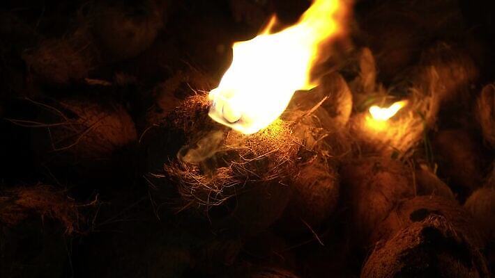 전통 종교 문화 여행 휴가 거리 사람없음 검은색 축제 기도 재산 신도 코코넛 귀족 숭배 신앙심 힌두교 4K 타이푸삼 MOV 해외동영상 클립영상 컬러 과일 금융 동영상 파일형식