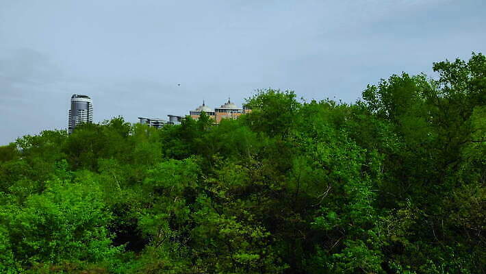 나무 계절 여행 잎 요트 자연 하늘 안테나 풍경 사람없음 야외 건물 초록색 물 여름 강 도시풍경 환경 항구 도시 보트 정상 땅 지역 타운 스카이라인 내추럴 항공촬영 드론 우크라이나 4K MOV 해외동영상 클립영상 자연요소 식물 건축물 유럽 뷰포인트 컬러 배_교통 통신 교통시설 생태계 동영상 파일형식