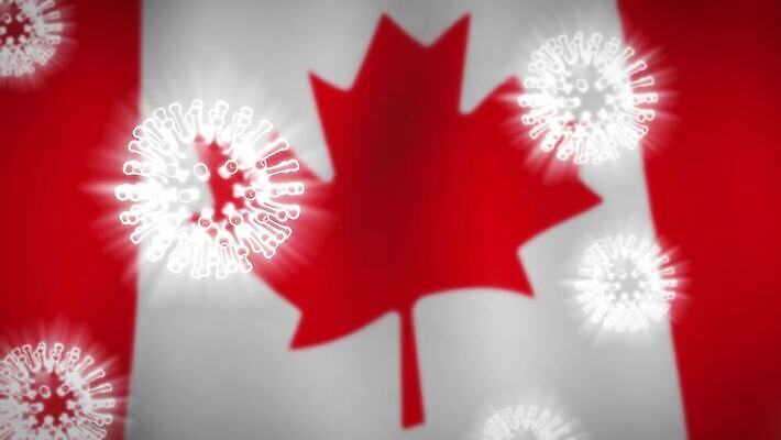 컨셉 단풍 캐나다 세포 실험 사람없음 글로벌 3D 중국 고통 죽음 깃발 바이러스 질병 위험 예방 감염 전염 백신 벤쿠버 전염병 증상 사스 코로나바이러스 4K 락다운 MOV 해외동영상 클립영상 감정 아시아 잎 북아메리카 의학 디지털합성 동영상 파일형식