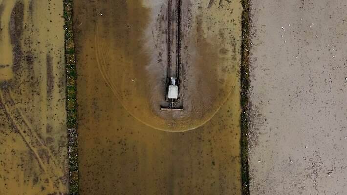 식물 전통 계절 아시아 문화 여행 백그라운드 농업 동양인 풍경 사람없음 야외 초록색 물 여름 농장 농사 흙 장비 수확 시골 농부 땅 준비 원예 트랙터 내추럴 논밭 4K MOV 해외동영상 클립영상 자연요소 직업 나라 산업 컬러 밭 논 인종 취미 농기계 특수차량 동영상 파일형식