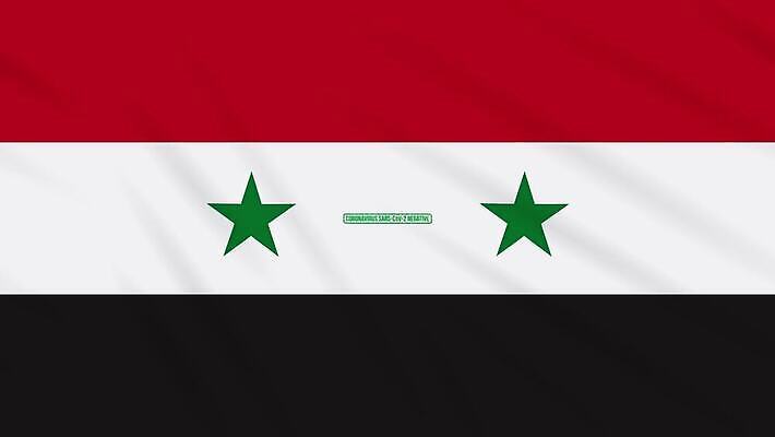 과학 백그라운드 중동 건강 사람없음 치료 초록색 약 자유 깃발 고리 바이러스 질병 디지털합성 예방 생물학 감염 미생물 애니메이션 우표 그런지 돌리기 백신 부정적 시리아 전염병 증상 치유 항생제 사스 코로나바이러스 4K MOV 해외동영상 클립영상 교육 감정 나라 컬러 컨셉 의학 모션 생물 동영상 파일형식