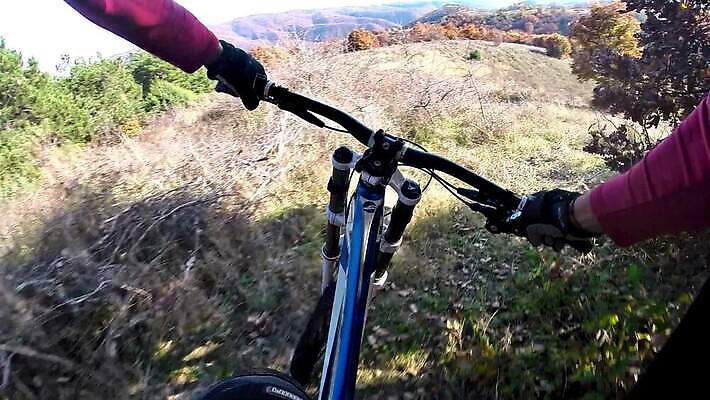 도로 스포츠 포즈 이동 자국 모션 산 건강 경사 사람없음 야외 운동 자전거 경쟁 승차 소프트포커스 숲 속도 흥분 사이클링 바이크레이서 바이킹 블러 산악자전거 1인칭시점 HD MOV 해외동영상 클립영상 시선 감정 길 컨셉 교통시설 촬영기법 바이크 육상스포츠 동영상 파일형식