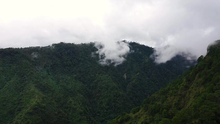 나무 식물 구름 계절 아시아 여행 백그라운드 잎 자연 날씨 산 안테나 풍경 사람없음 초록색 여름 환경 계곡 젖음 안개 정상 숲 열대우림 언덕 지역 항공촬영 뿌연 열대기후 절정 조감도 4K MOV 해외동영상 클립영상 자연요소 나라 뷰포인트 컬러 통신 생태계 동영상 파일형식