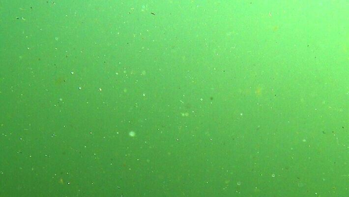 나무 야생동물 모래 컬러 파충류 아침 휴식 이끼 사람없음 야외 물 강 반사 노란색 스파 흐름 연못 잡기 개울 그룹 수면 거북이 습지 영화 통나무 먼지 진흙 멀리 내추럴 변소 생태학 송어 4K MOV 해외동영상 클립영상 주간 자연요소 식물 동물 교육 컨셉 모션 문화예술 어류 동영상 파일형식