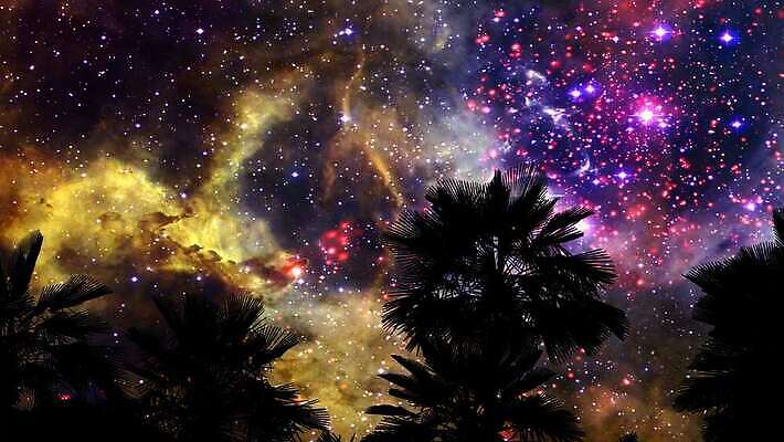 나무 실루엣 별 지구 과학 여행 백그라운드 자연 하늘 사람없음 야외 파란색 빛 태양 우주 검은색 어둠 망원경 별자리 행성 야간 저녁 큼 은하계 점성술 천문학 성운 내추럴 방법 중력 수평선 4K 타임랩스 MOV 해외동영상 클립영상 자연요소 식물 교육 컬러 촬영기법 크기 생태계 동영상 파일형식