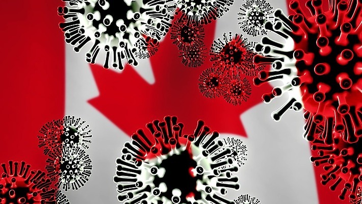 컨셉 단풍 캐나다 세포 사람없음 글로벌 3D 중국 고통 죽음 깃발 바이러스 질병 위험 예방 감염 전염 애니메이션 백신 벤쿠버 전염병 증상 사스 코로나바이러스 4K 락다운 MOV 해외동영상 클립영상 감정 아시아 잎 북아메리카 의학 디지털합성 동영상 파일형식