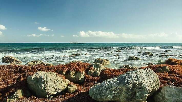 모래 파도 바다 섬 여행 우산 자연 휴가 휴식 멕시코 손바닥 해변 사람없음 관광지 야자수 태양 평화 일몰 뜨거움 충돌 묘사 휴양지 암초 마야 이국적 칸쿤 파라다이스 화창 MP4 해외동영상 클립영상 자연요소 나무 손 컨셉 북아메리카 날씨 노을 장소 생태계 마야문명 동영상 파일형식