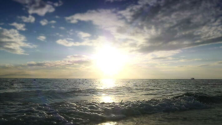 모래 파도 바다 섬 여행 백그라운드 오렌지 자연 하늘 휴가 휴식 사람없음 물 파란색 모래사장 햇빛 태양 일출 맑음 황혼 일몰 새벽 서핑 황금 하와이 대서양 파라다이스 하와이인 수평선 MOV 해외동영상 슬로모션 클립영상 자연요소 외국인 컬러 컨셉 과일 날씨 촬영기법 노을 미국 수상스포츠 생태계 동영상 파일형식