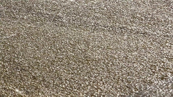 산업 공장 자연 안테나 사람없음 물 강 환경 흐름 흰색 개울 고리 오염 댐 폭풍 튜브 빗물 낭비 배수구 해고 옛날 폐수 하수 4K HD MP4 해외동영상 클립영상 자연요소 공공시설 컬러 컨셉 비즈니스 통신 공업 날씨 비_날씨 환경오염 생태계 동영상 파일형식