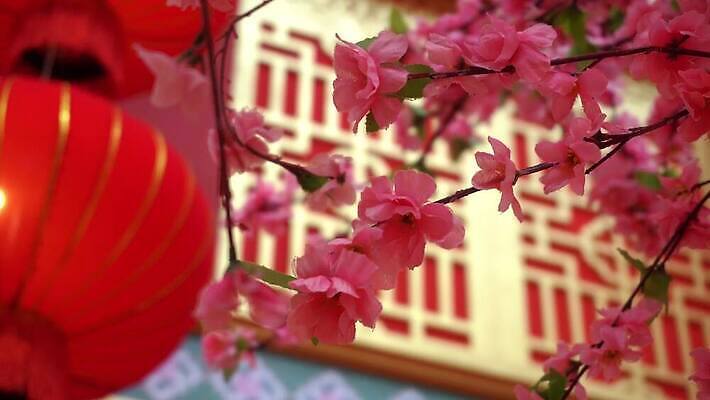 전통 아시아 문화 중국문화 기념 매달리기 미술 동양인 사람없음 장식 가로 빨간색 축제 중국 등불 축하 화려 닫기 신비 연도 소원 춘절 4K MOV 해외동영상 클립영상 동양문화 명절 나라 컬러 외국문화 컨셉 모션 문화예술 조명 인종 중국전통 동영상 파일형식