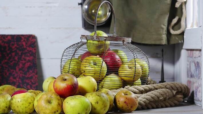 전통 음료 음식 과일 자연 유리 새로움 건강 사람없음 목재 농장 주스 낭만 시골 긴급 알코올 신선 달콤 사과 상품 유기농 내추럴 노르망디 바이오 숙성 식초 4K MP4 해외동영상 클립영상 나무 웰빙 컨셉 농업 재료 재질 맛 생태계 동영상 파일형식