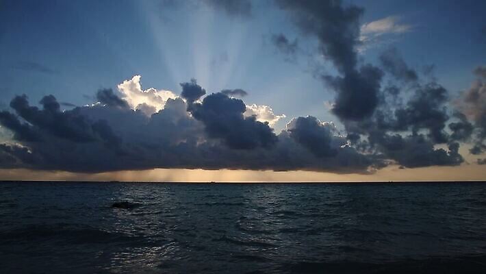 실루엣 모래 파도 바다 섬 여행 백그라운드 오렌지 태국 자연 하늘 휴가 사람없음 야외 물 햇빛 태양 노란색 일출 중국 황혼 일몰 신혼여행 야간 저녁 하와이 몰디브 카리브해 파라다이스 푸켓 수평선 MOV 해외동영상 클립영상 자연요소 아시아 컬러 결혼 과일 촬영기법 노을 미국 생태계 동영상 파일형식