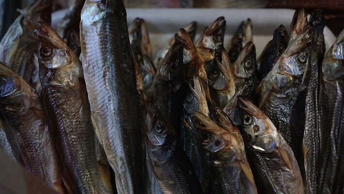 접시 손 잡화 아시아 음식 바다 컨셉 재료 낚시 어류 사람없음 세트 판매 상점 식사 시장 맛 상품 먹기 계산대 해산물 준비 진열장 러시아 소금 보여주기 어장 소매 식품점 절임 맛있는 MOV 해외동영상 클립영상 식기 유럽 나라 모션 레저 신체부위 수중동물 동영상 파일형식